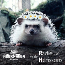 Logo du groupe Les Radieux Hérissons