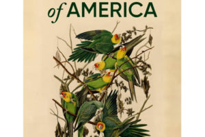CinémAlternatiba « Birds of America » : image à la une