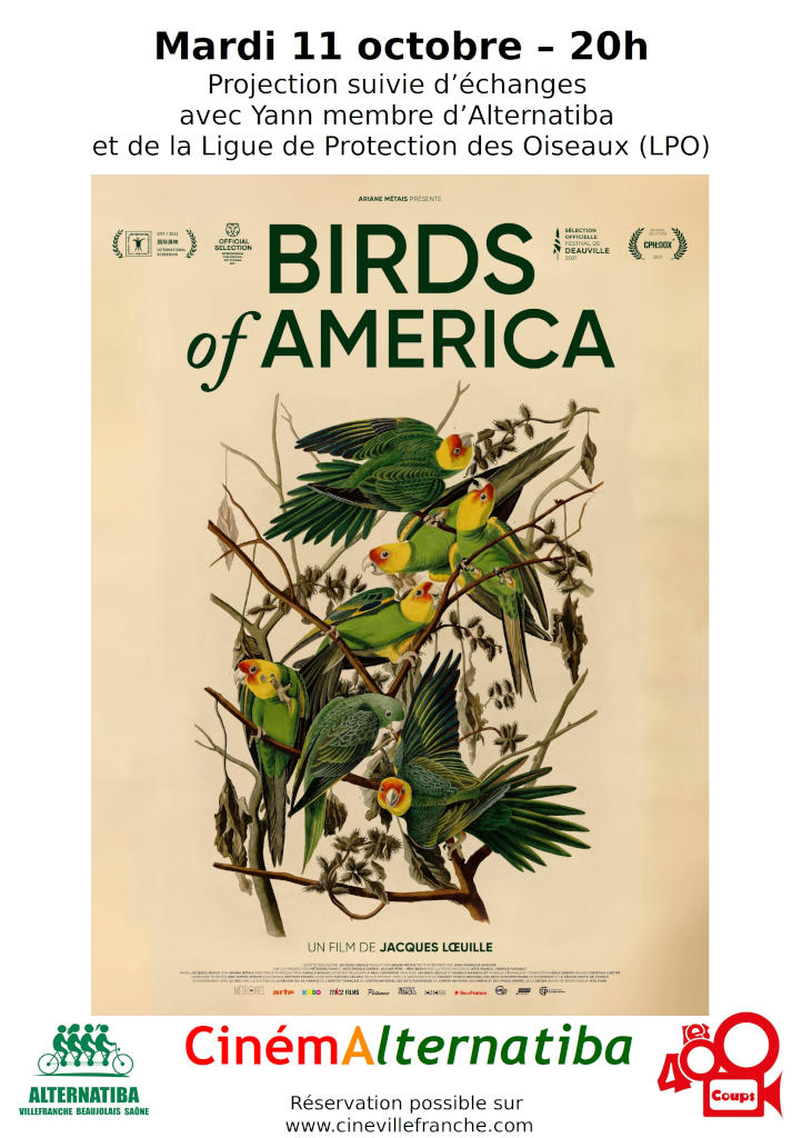 CinémAlternatiba « Birds of America » : Image à la une