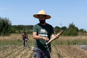 La loi Duplomb a été votée. Que faire maintenant ? : image à la une